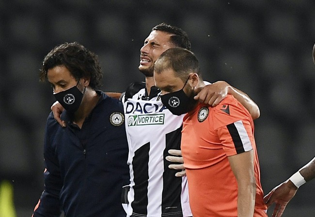 浦和红钻的 浦和红钻的