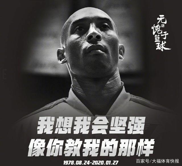 纽约洋基球 纽约洋基球